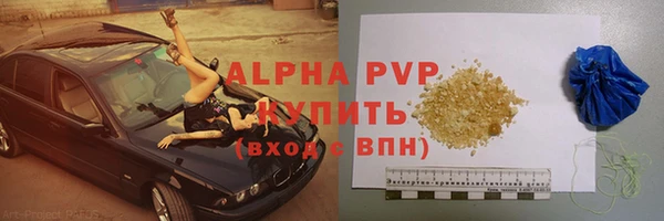 гашик Кулебаки