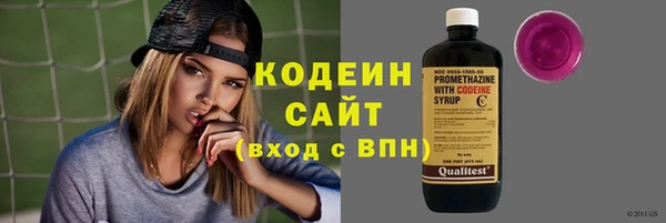 гашик Кулебаки