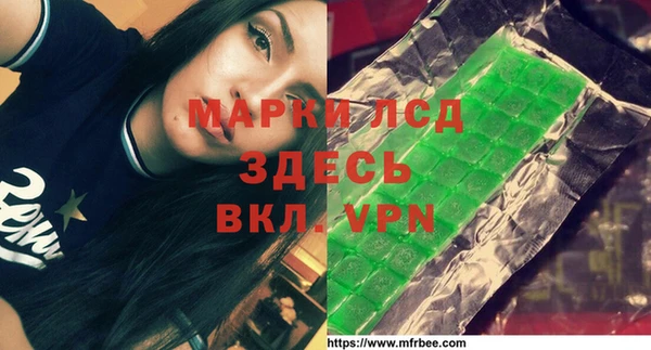 гашик Кулебаки