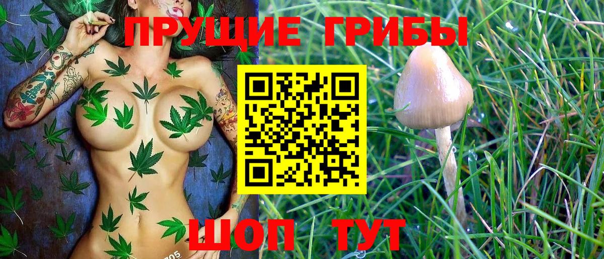 Кириши  Псилоцибиновые грибы GOLDEN TEACHER  Вход с VPN 