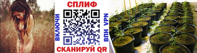 Марихуана тримм  omg зеркало  Кириши  купить  сайты 