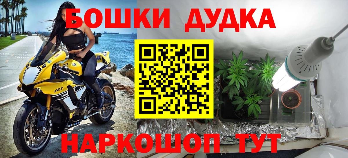 МАРИХУАНА конопля Кириши